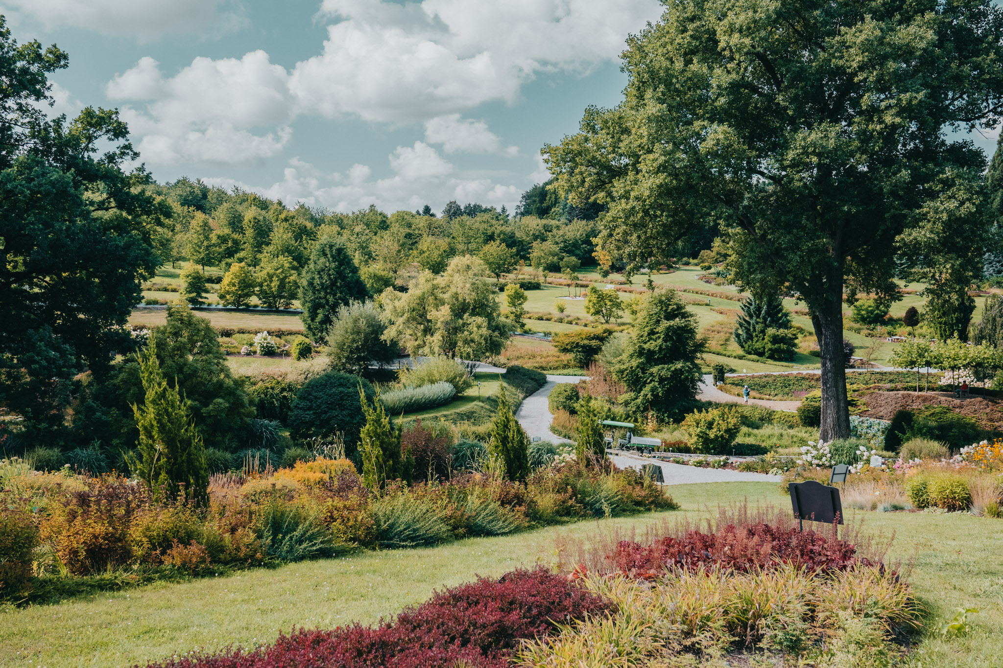 Arboretum Wojsławice